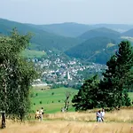 Appartement Fewo Haus Bellevue - In Traumhafter Naturlage - Inkl Meinecardplus Willingen (Upland)
