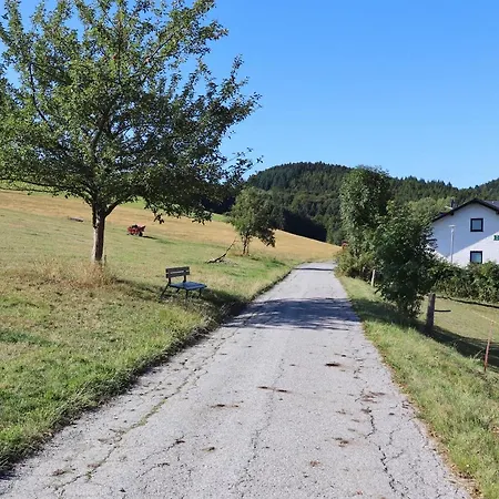 Haus Bellevue - Inkl. Meinecard+ Lägenhet Willingen (Upland)