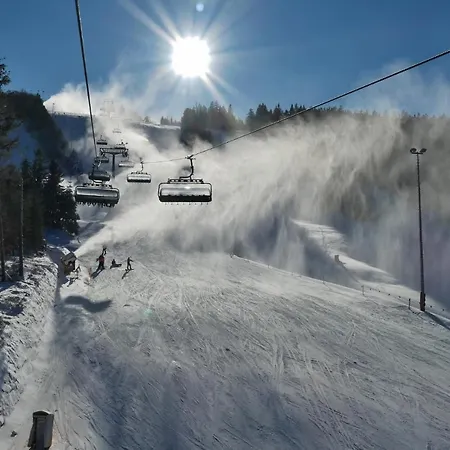 Fewo Haus Bellevue - inkl. MeineCard+ Willingen (Upland)