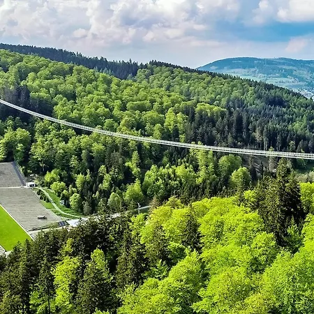 شقة Haus Bellevue - In Traumhafter Naturlage - Inkl Meinecardplus فيلنغن