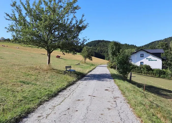 Haus Bellevue - Inkl. Meinecard+ Appartement Willingen (Upland)