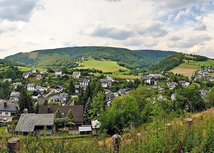 Fewo Haus Bellevue - inkl. MeineCard+ Apartment Willingen (Upland)