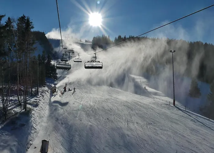 Fewo Haus Bellevue - inkl. MeineCard+ Willingen (Upland)